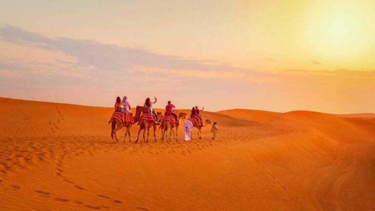 Camel ride Desert Safari Dubai
