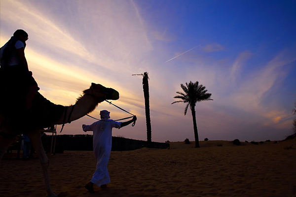 Morning Desert Safari in Dubai