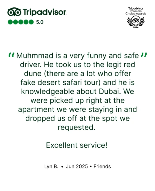 Tripadvisor Review 7