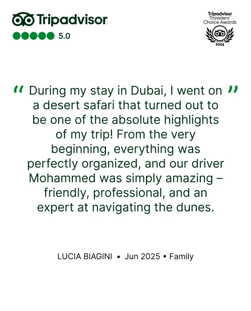 Tripadvisor Review 8